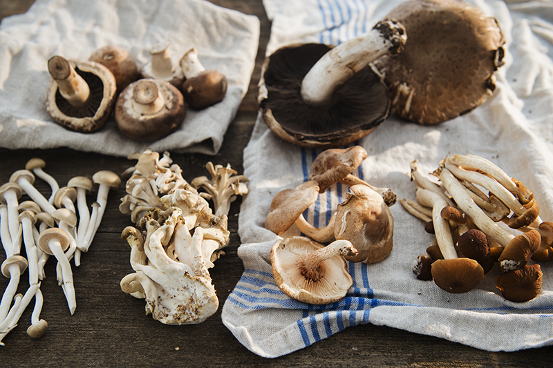 There are many types of mushrooms - evidently about 10,000 known species in North America alone! - but here are just a few from our local market, clockwise from top left: Cremini, Portobello, Hypholoma, Shiitaki, Maitaki (or Hen of the Wood), and Enoki.