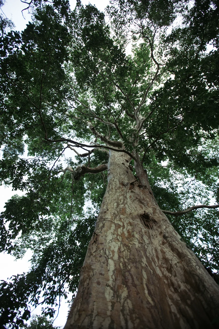 NuevaNica-37.jpg