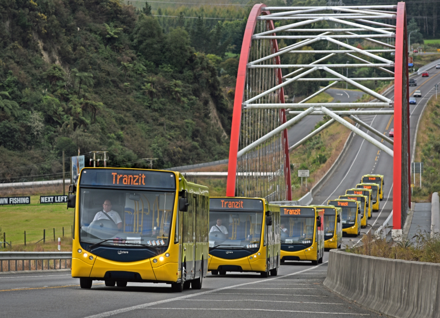 Buses on their way to Masterton from Auckland port last week.