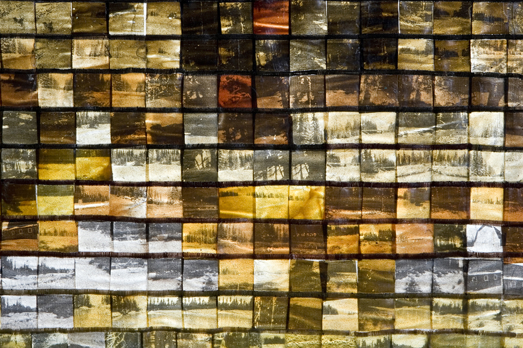 The Bearberry Project (Detail)