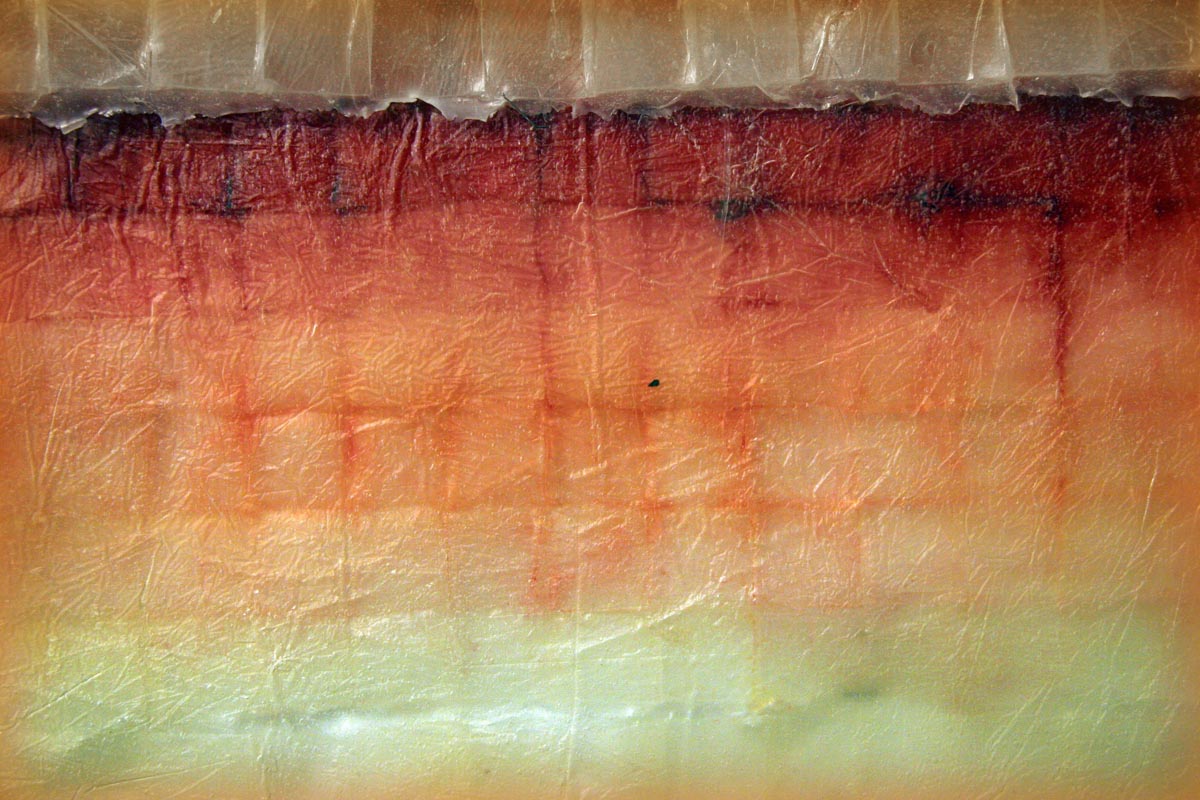Red Line, Detail.