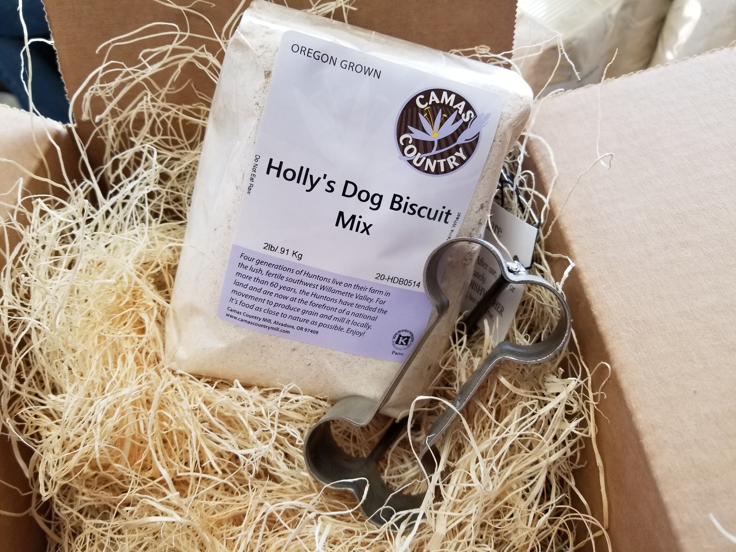 20201118_115003 Holly GB.jpg