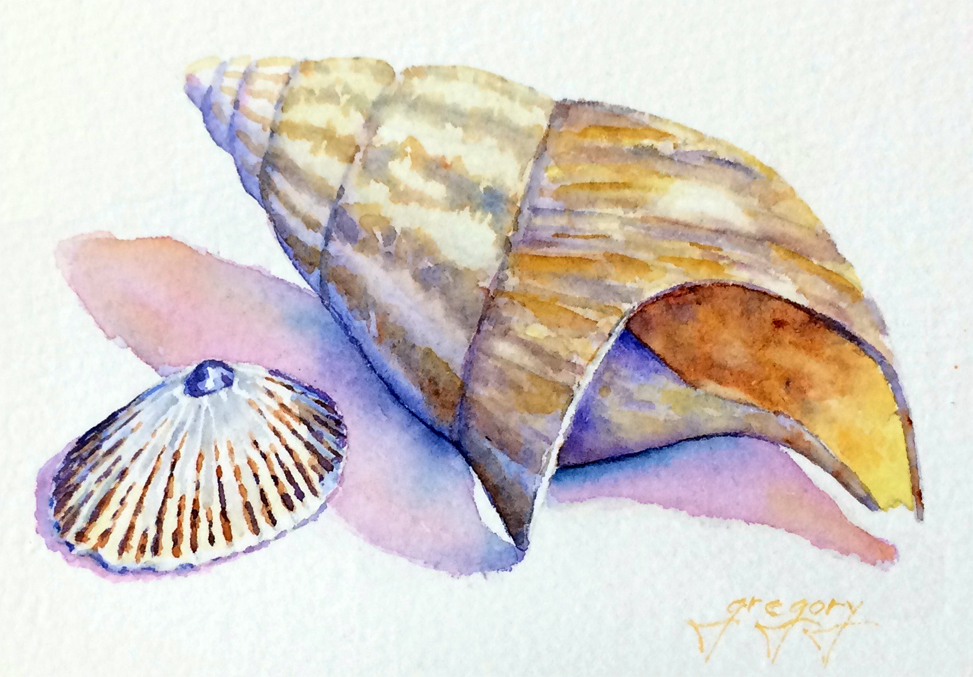 Seashells Study