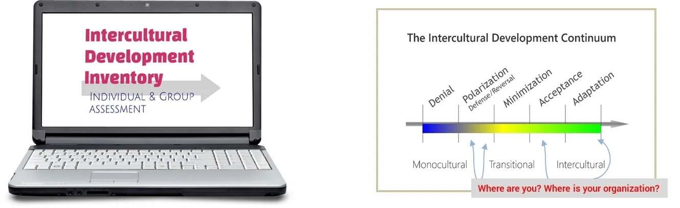 Intercultural Development Inventory Idi Interculturalist Llc