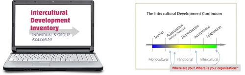 Intercultural Development Inventory Idi Interculturalist Llc