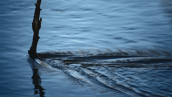 water flowing past stick.gif