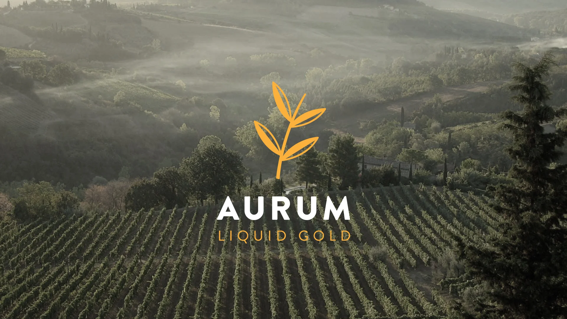 aurum01.jpg