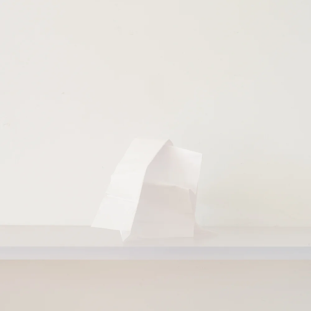  Untitled No. 5, 2016 