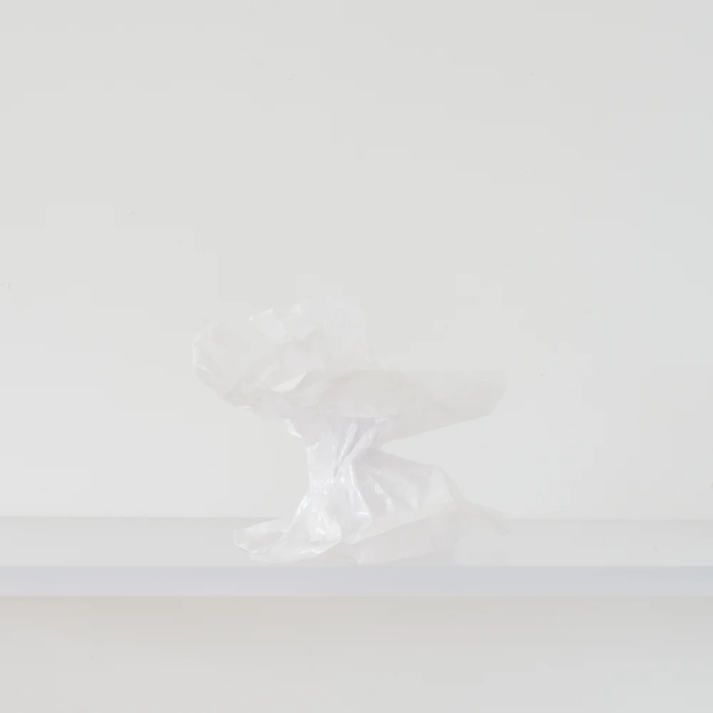  Untitled No. 8, 2015 