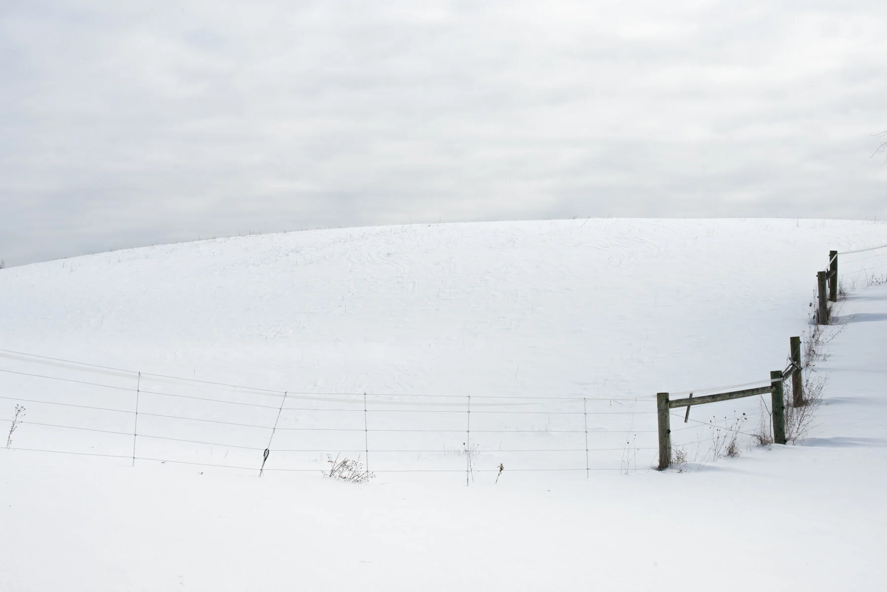  Snow, Fence, 2020 