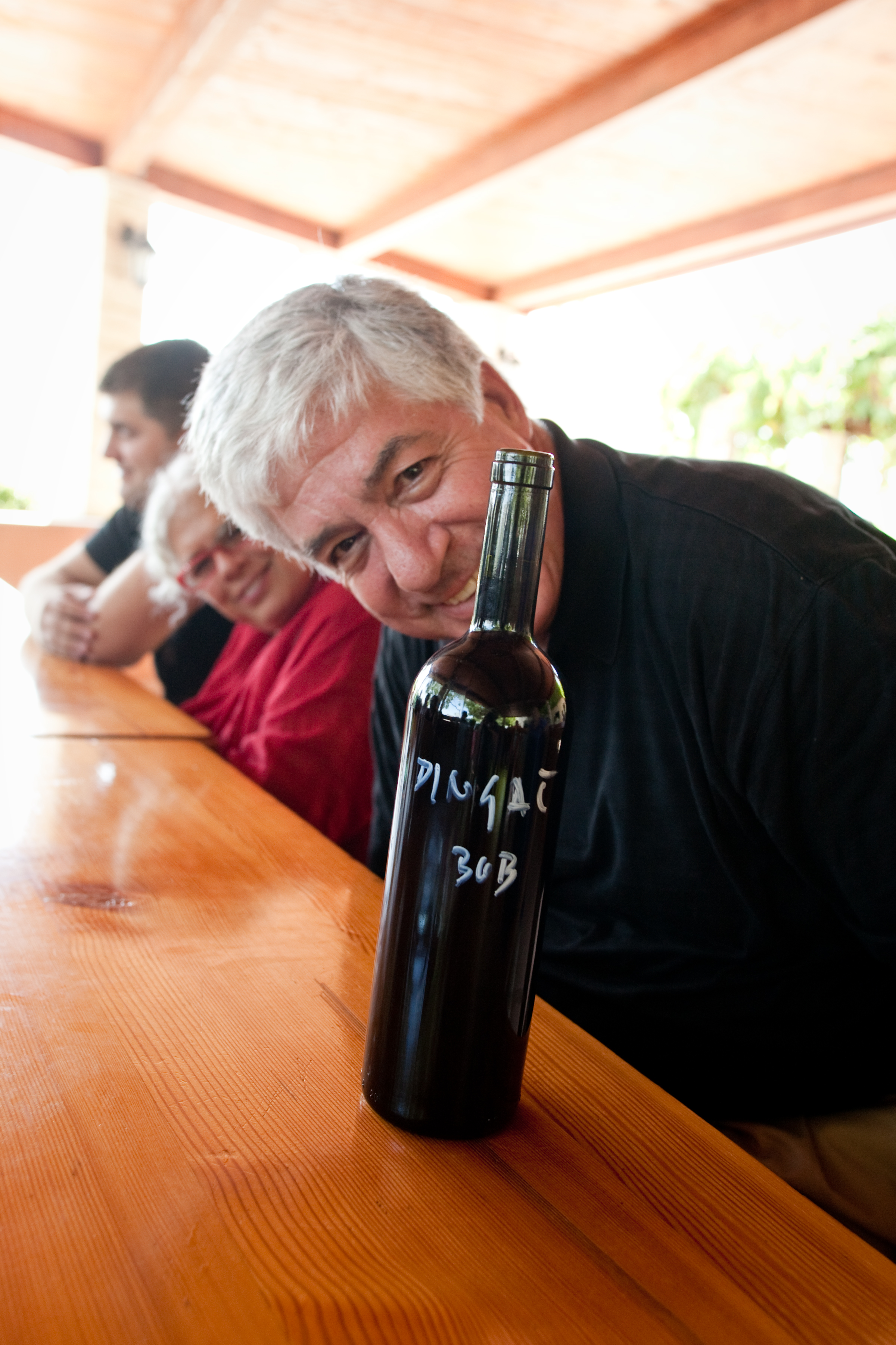 It was while at PaineWebber on a trip with the firm's top brokers that Benmosche first visited Dubrovnik. The brokers were tickled by the absurdity of visiting a communist country, the former Yugoslavia. Benmosche was more analytical, returning to the city years later with the idea of growing Zinfandel grapes in Croatia, the region where they originated. He didn't find a farm right away, but in 2001, he bought the Splendid Bar, a one-time discothèque on a strip overlooking the glittering Adriatic, which he and his wife, Denise, a former schoolteacher, spent six years renovating into Villa Splendid...He found his vineyard a couple of hours away, and began dry-farming grapes to concentrate their flavor; last year the vineyard produced 3,000 bottles of wine under the Benmosche Family Dingac label.
