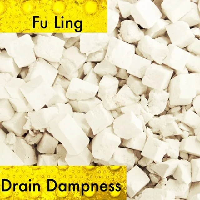 With its ability to tonify the spleen, eliminate dampness, and calm the heart I use fu ling constantly. It leaches out dampness, fortifies the appetite and harmonzies the middle, strengthens the spleens ability to separate the clear from the turbid. And quiets the heart. If you consider fu shen, fu ling pi, and fu ling you can use it in so many ways.
Bonus fact one of my favorite cats I know was named fu ling.
If you know someone who would like our channel please forward our posts to them!
#theduchannel #herbalmedicine #acupuncture #eastasianmedicinestudent #eastasianmedicine #acupuncturestudent #herbalist #herbs #witch #naturalmedicine #herbalism #tcm