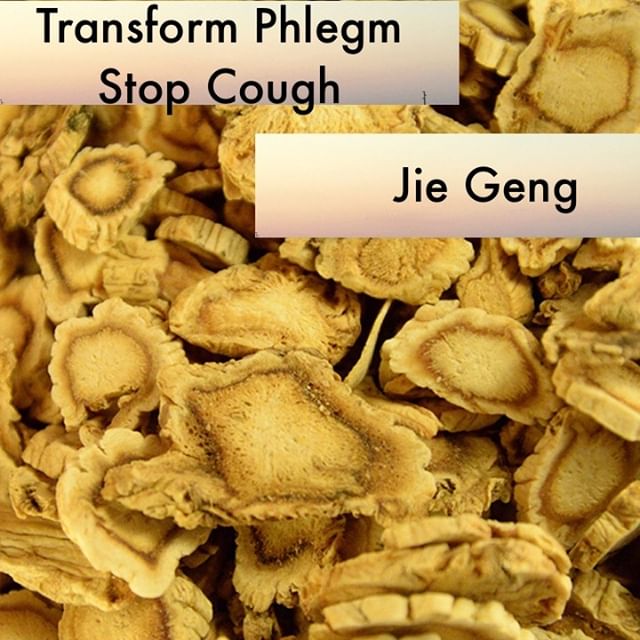 Jie Geng drains and disperses in the body and is also ascending. This unique combination gives it the qualities of both stopping cough and benefitting the throat. I love the classical comparisons of jie geng to a boat that carries other herbs. A warning though: if used improperly jie geng can prevent other herbs from properly descending in the body. as a side note I wanted to let you know that we have been working on course material over the last 2 years and will be launching classes this fall. Send us a message and let us know if you would be interested in taking classes on herbs, safety, ethics, best business practices, pharmacy management, and point selection/location. We have many classes that are still being edited and finalized but looking forward to these getting approved for NCCAOM credits.
If you know someone who would like our channel please forward our posts to them!
#theduchannel #herbalmedicine #acupuncture #eastasianmedicinestudent #eastasianmedicine #acupuncturestudent #herbalist #herbs #witch #naturalmedicine #herbalism #tcm