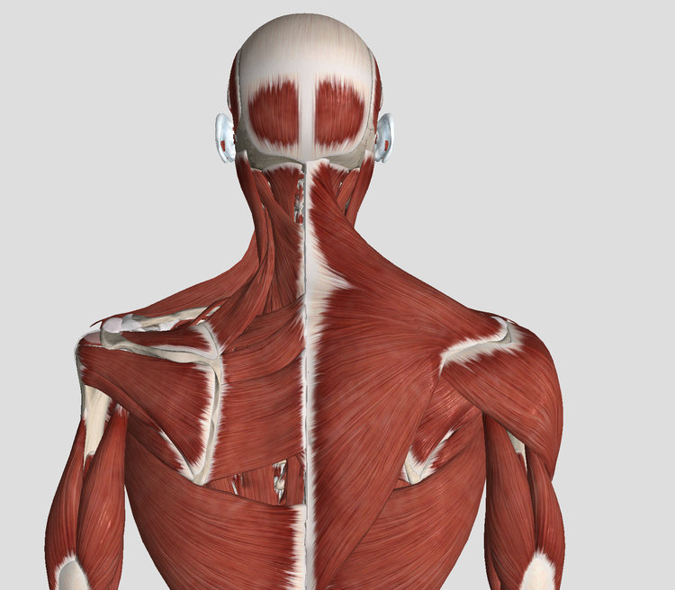 Specialty Care Gentle Point Specialty care gentle point