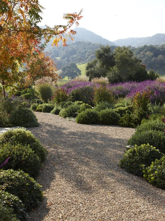 20091104_Colvin_047.jpg