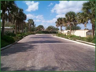 mesquite3.jpg