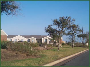 mesquite3.jpg