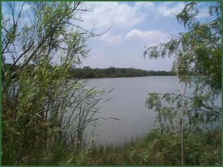 heron1.jpg