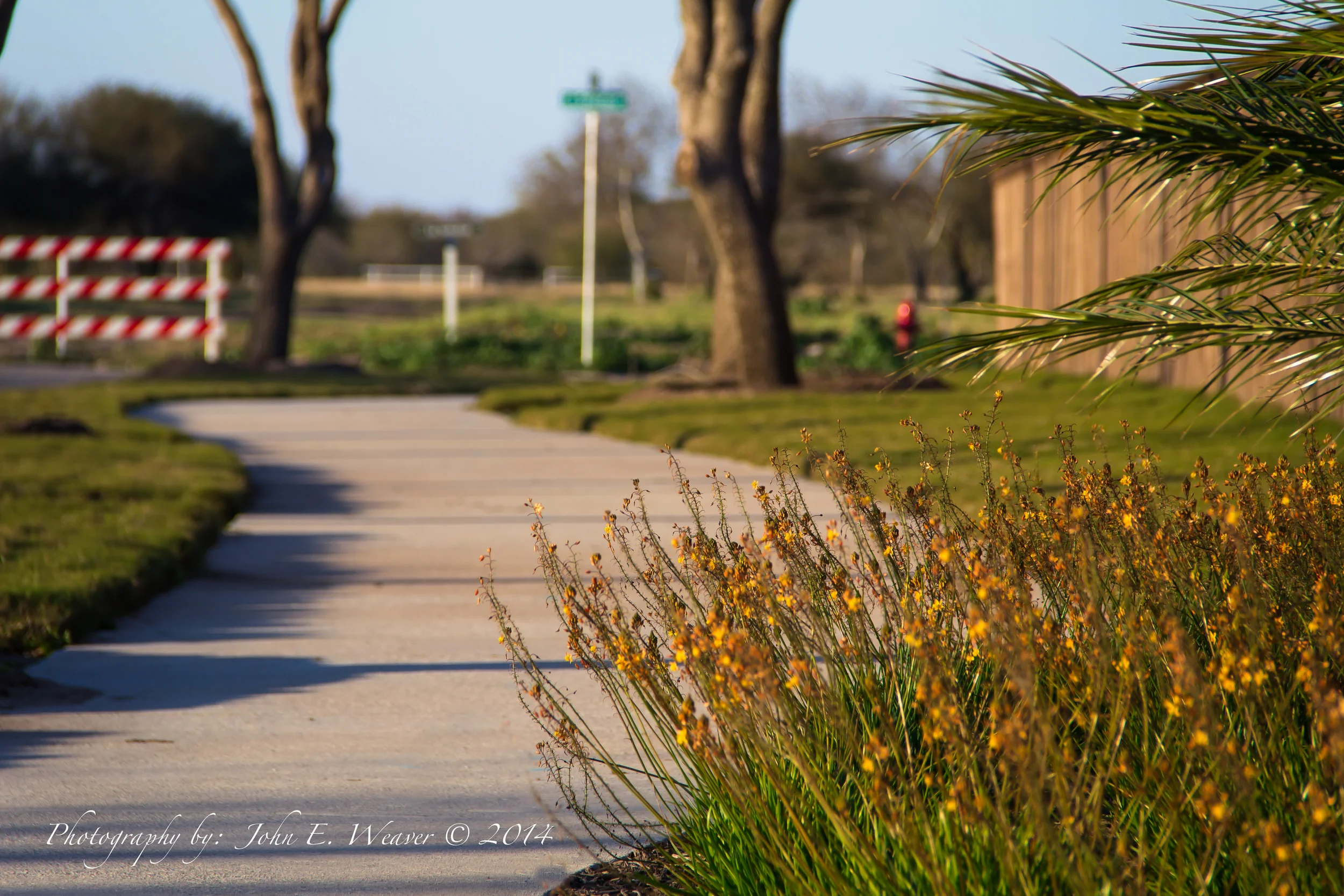 WestlakeDusk-9402.jpg