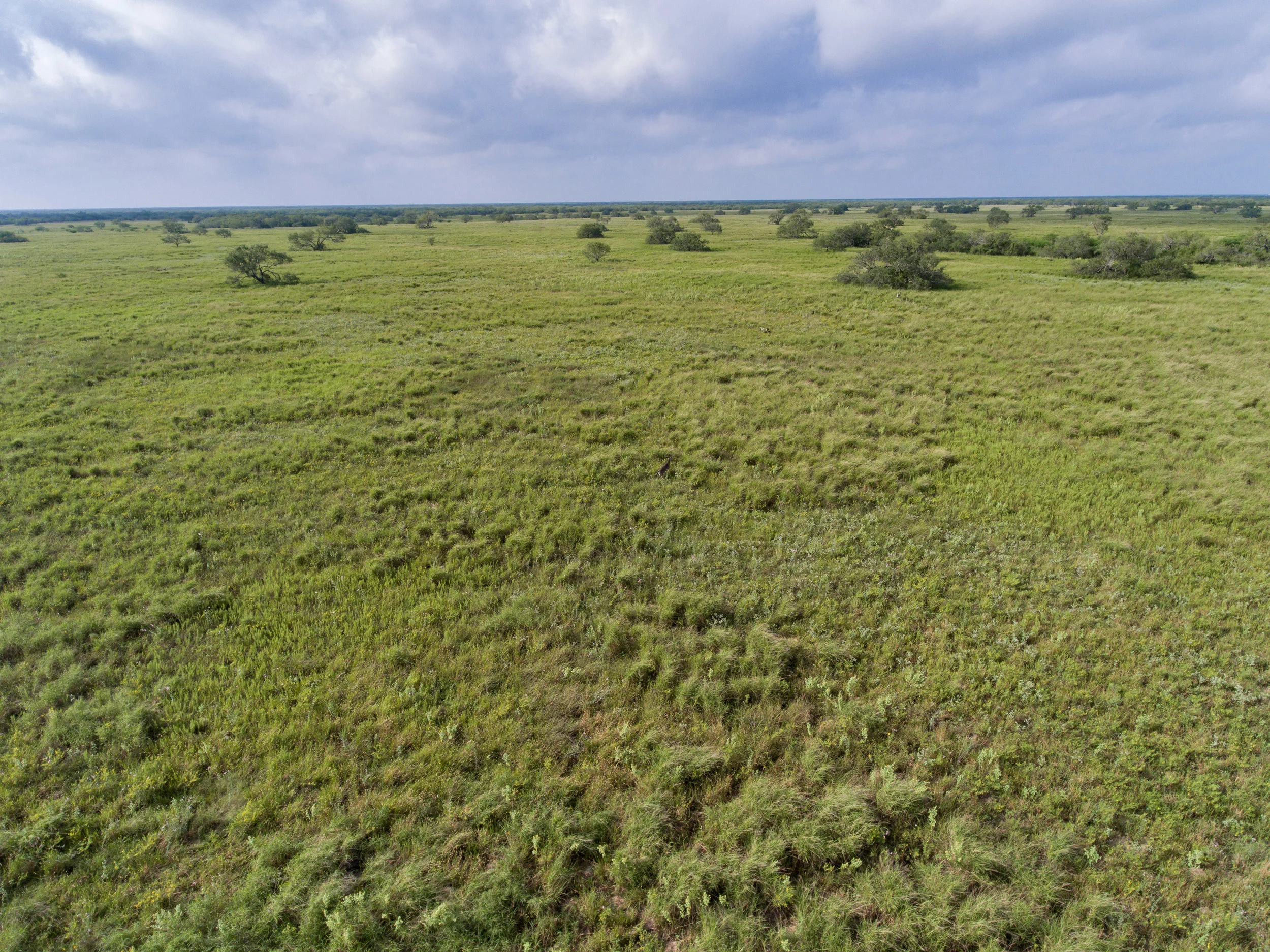 Aerial-6.jpg
