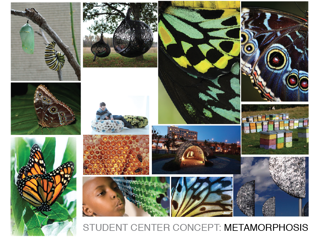 StudentCenter Concept2.png