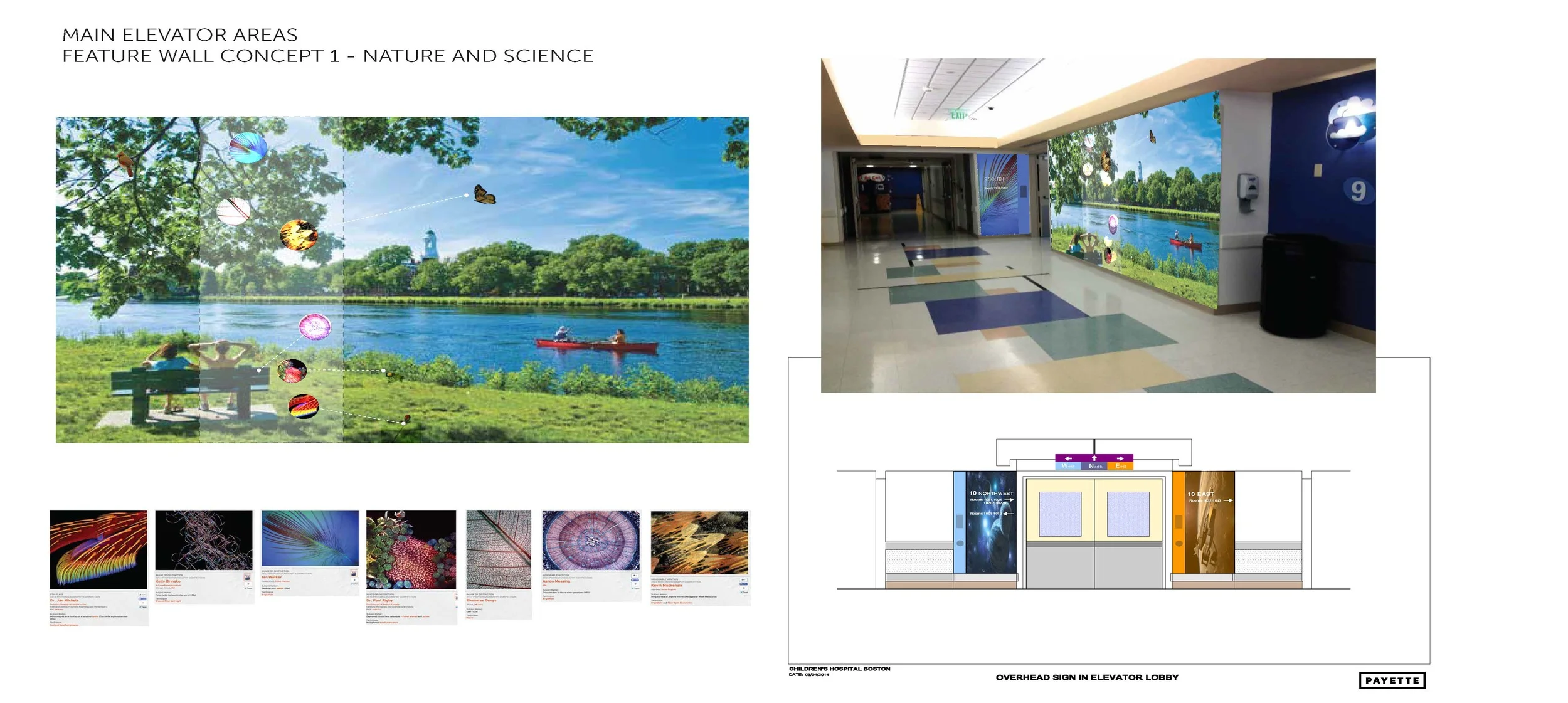 Main Elevator Lobbies-ScienceNatureConcept.jpg