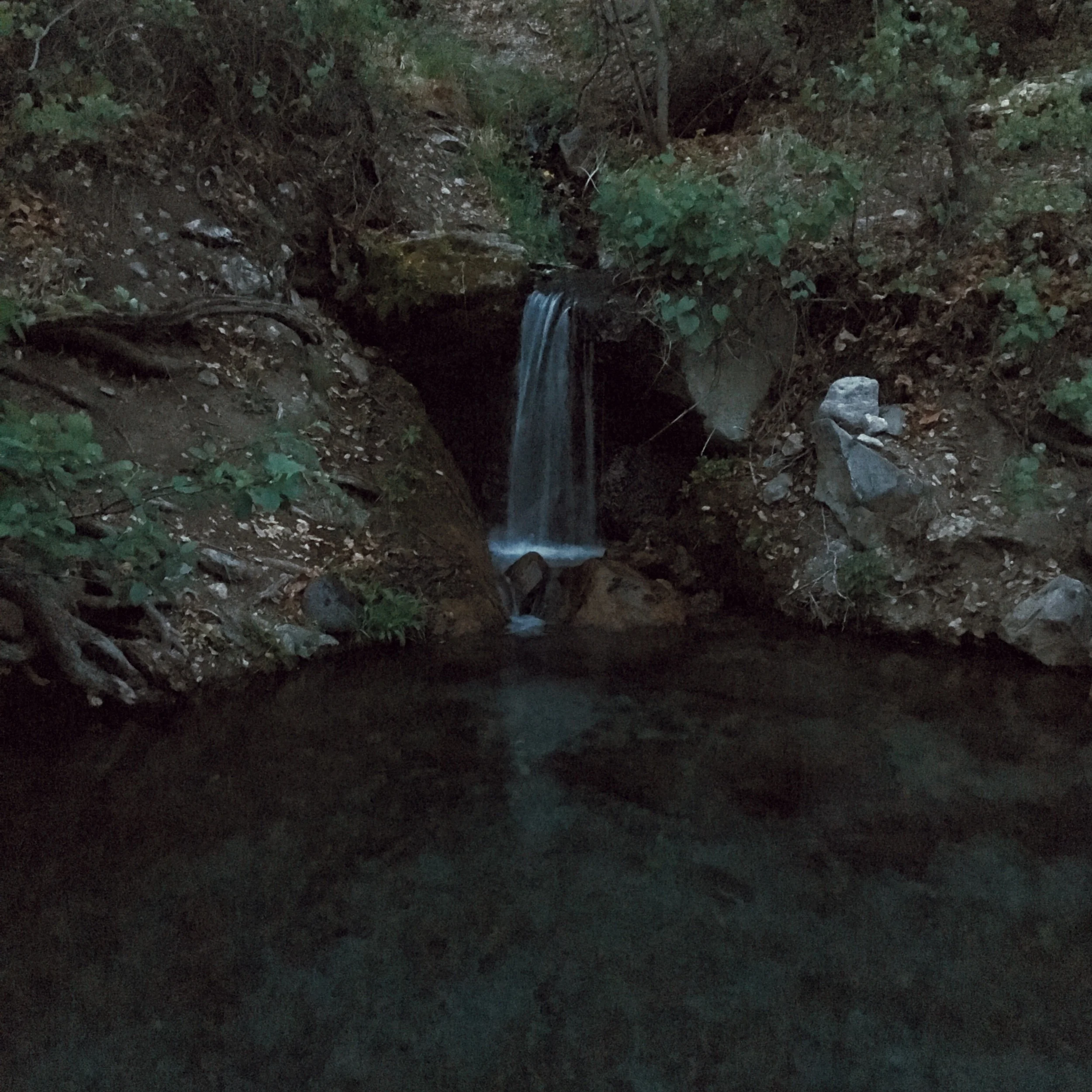 image.jpg