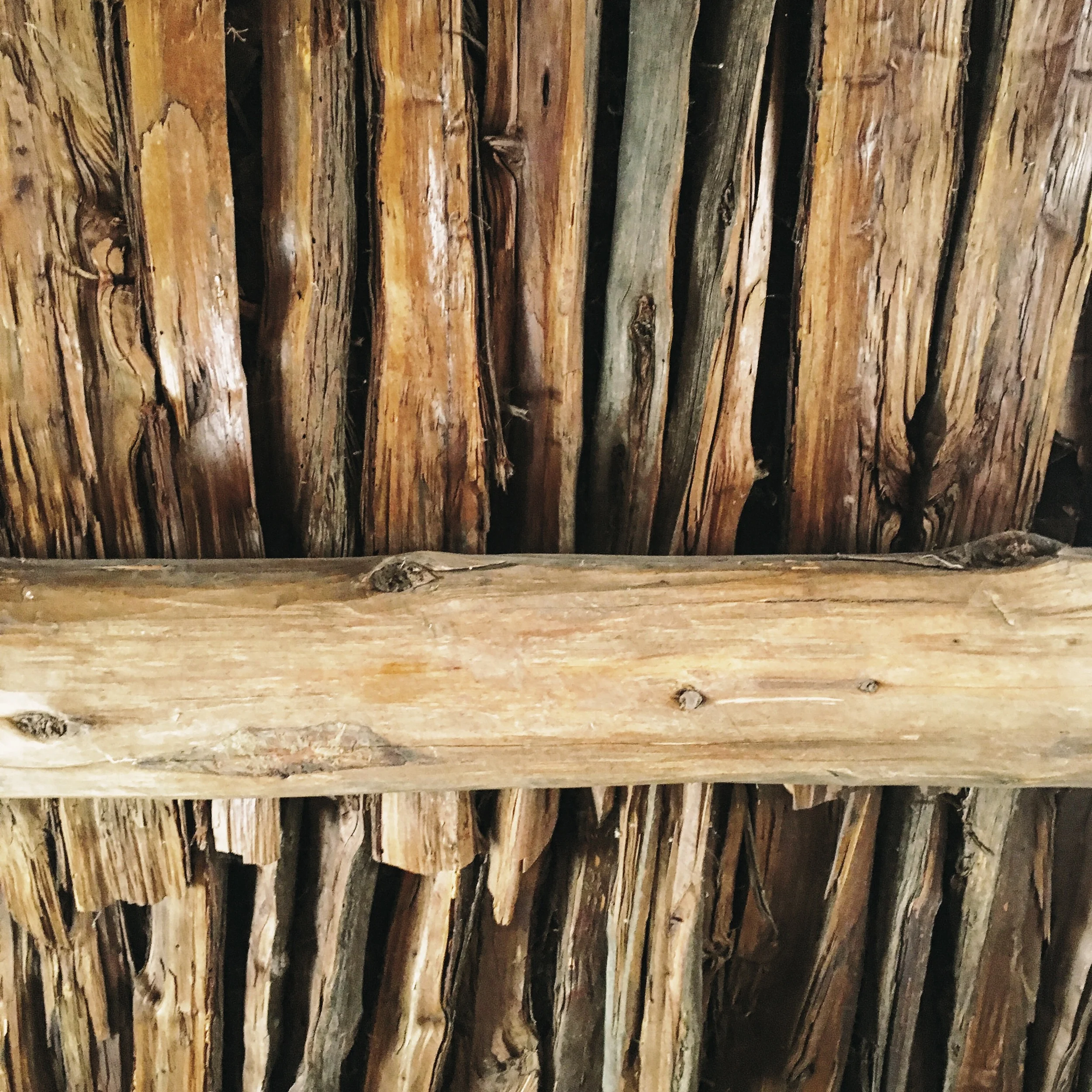 Ceiling of the Ghost House