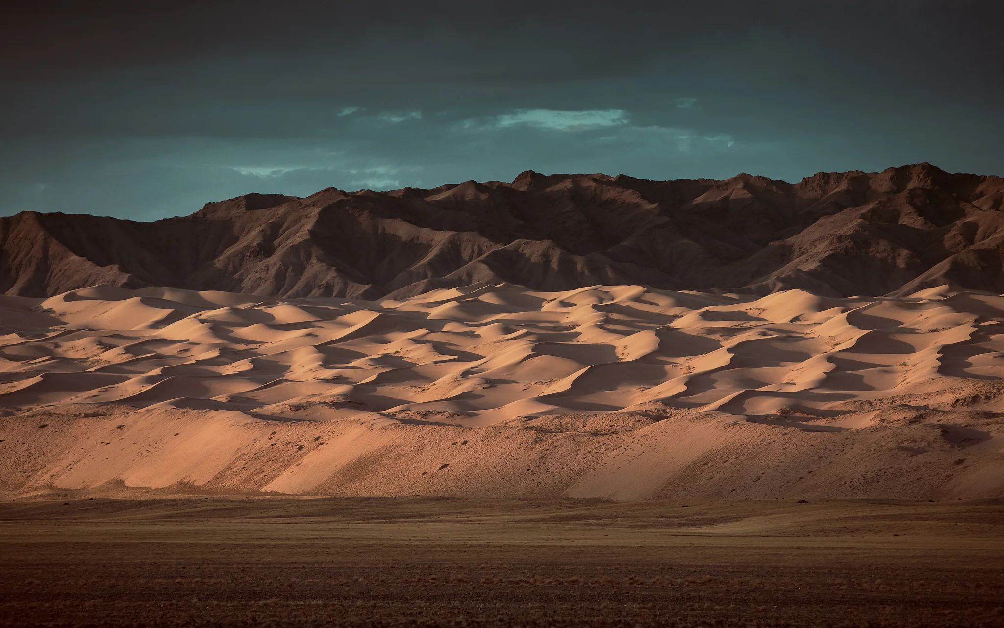 970A1915-Edit-Edit-Edit.jpg