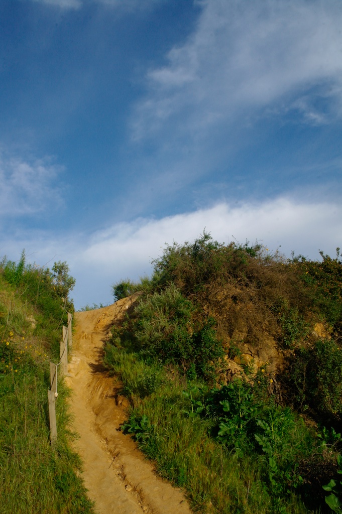 Fryman_Canyon_2011-03-30_06-28-12__SAM4023©MaggieLynch2011.jpg