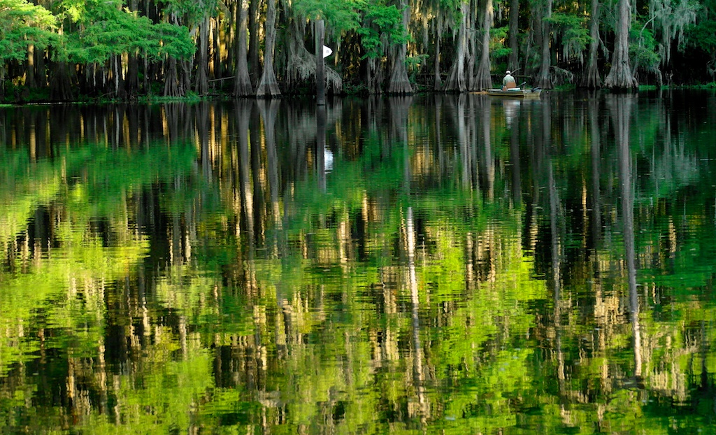 Caddo_Lake_1999-12-31_17-09-06_130©MaggieLynch2012.jpg