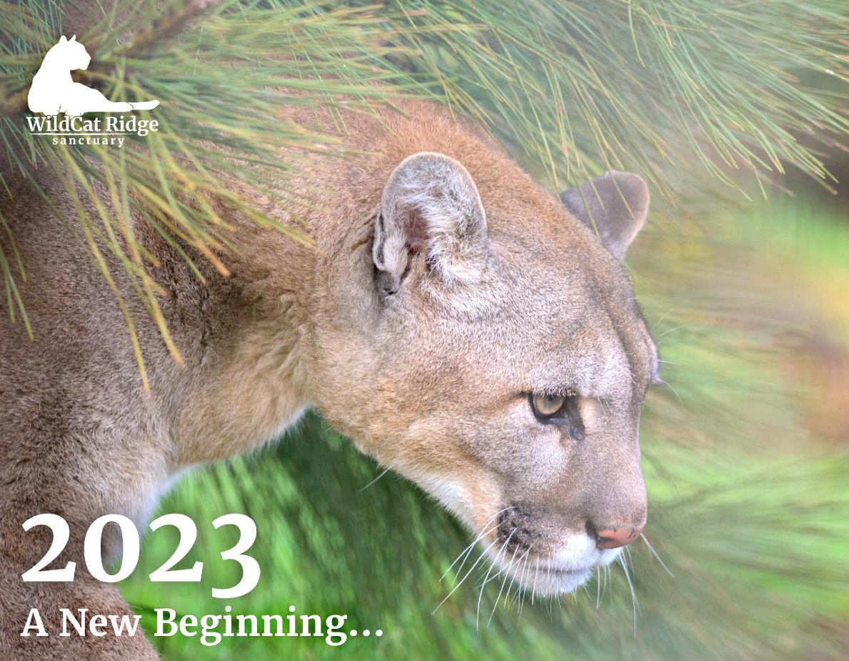 2023 calendar front.png