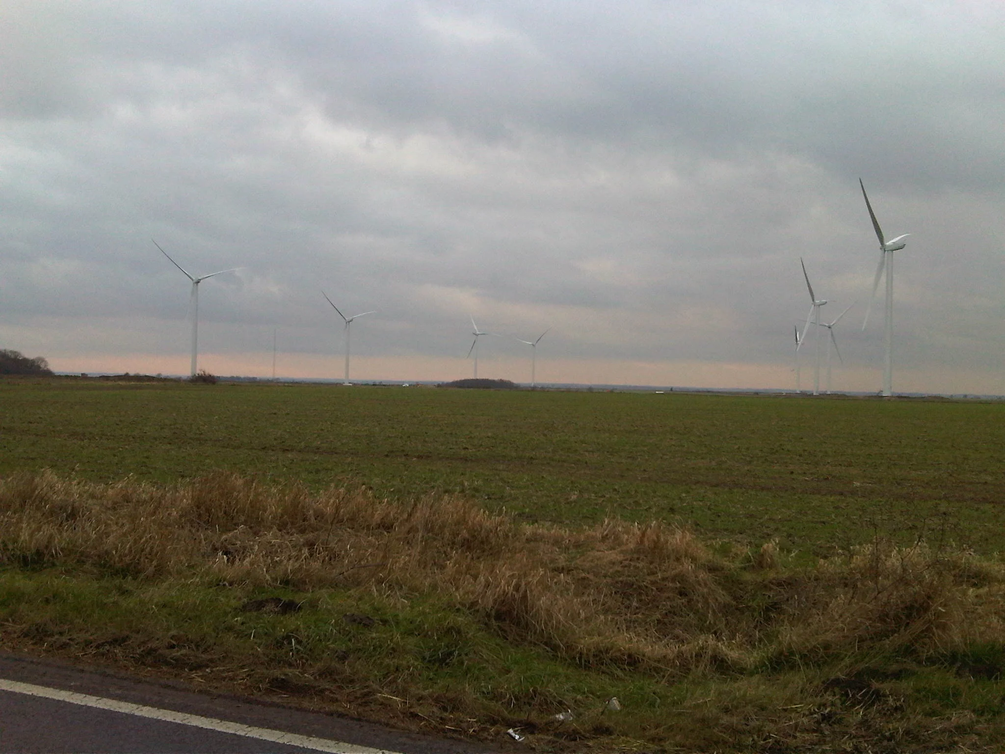 cotton-wind-farm.jpg