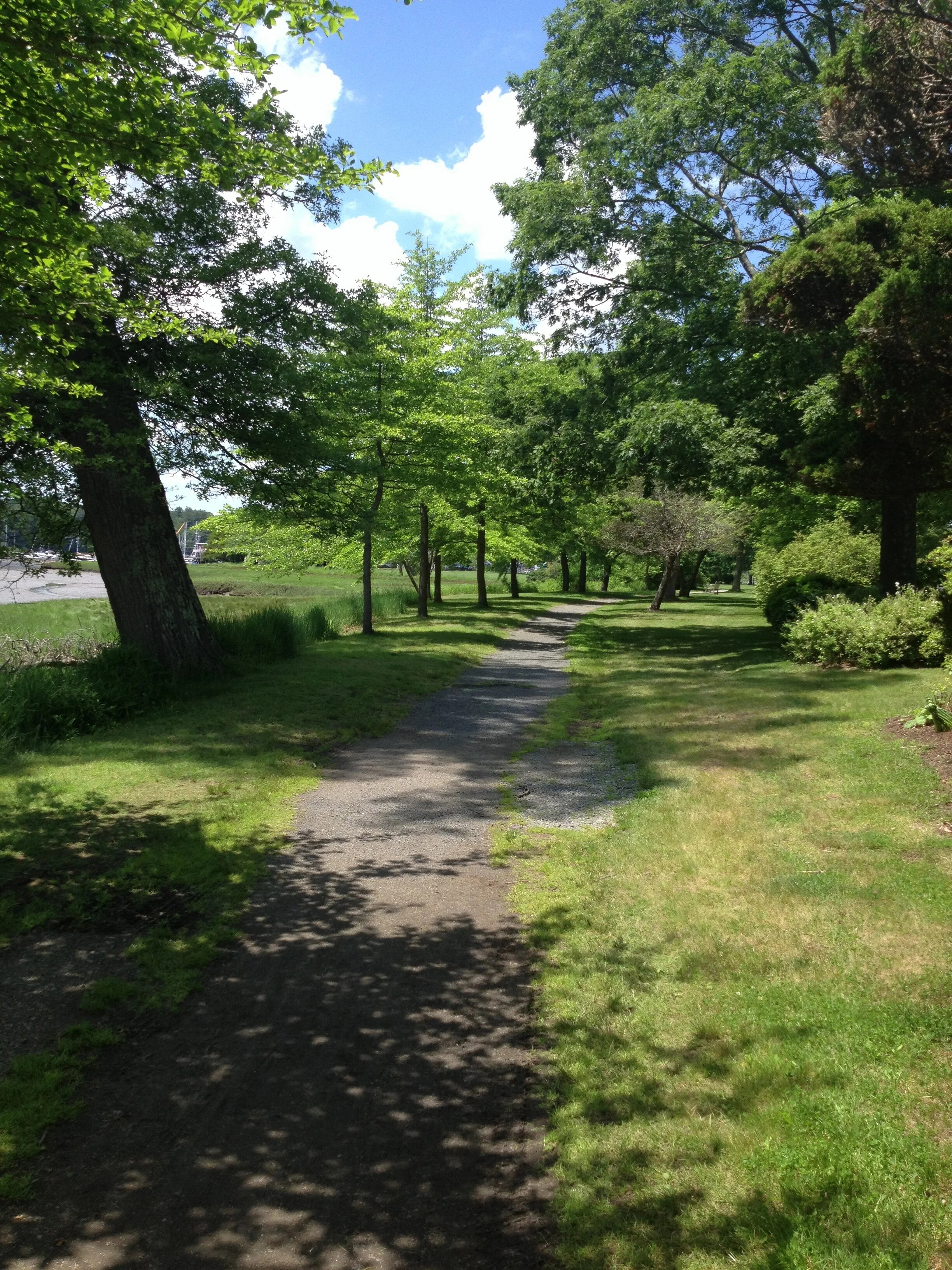 verdant path in manchester.jpg