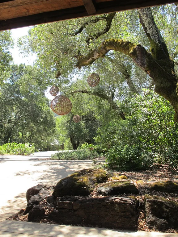 Oakville winery IMG_9347.JPG