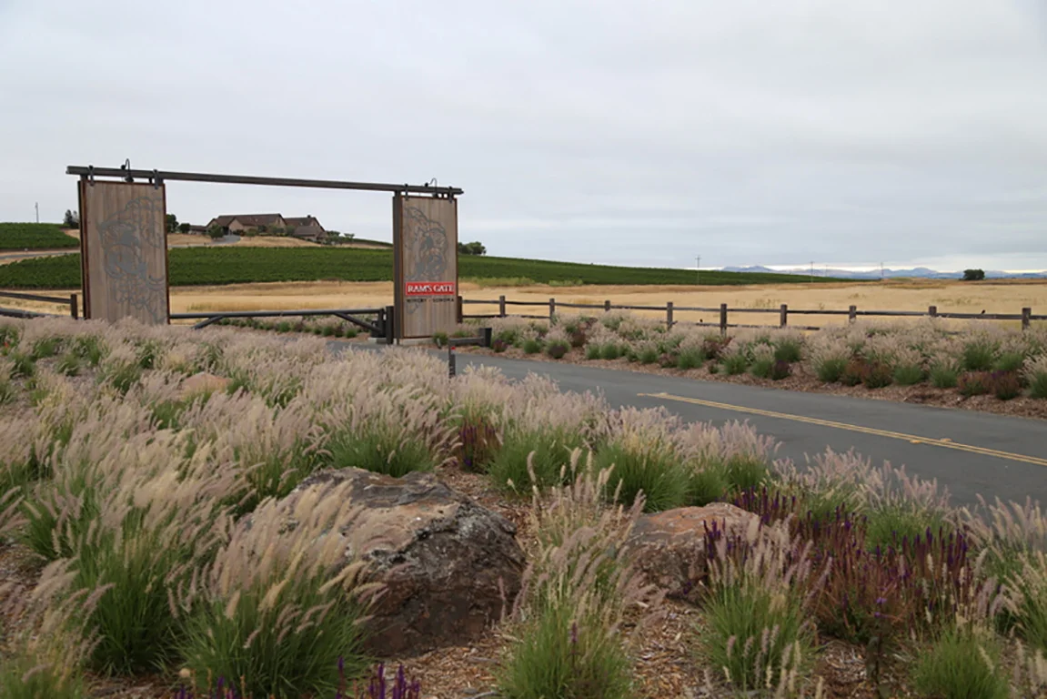 Rams Gate Winery .JPG