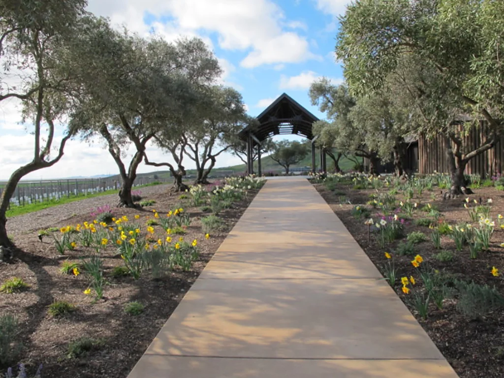Rams Gate Winery IMG_0054.JPG