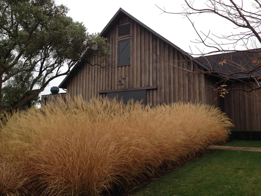 Rams Gate Winery IMG_5612.JPG