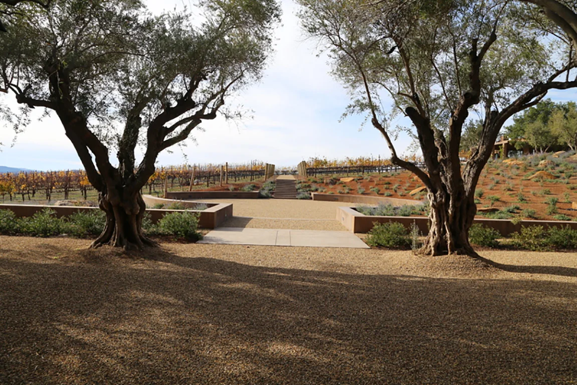 Continuum 3 needs straightening.JPG