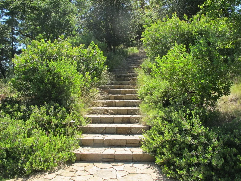 NEW Collections staircase.JPG