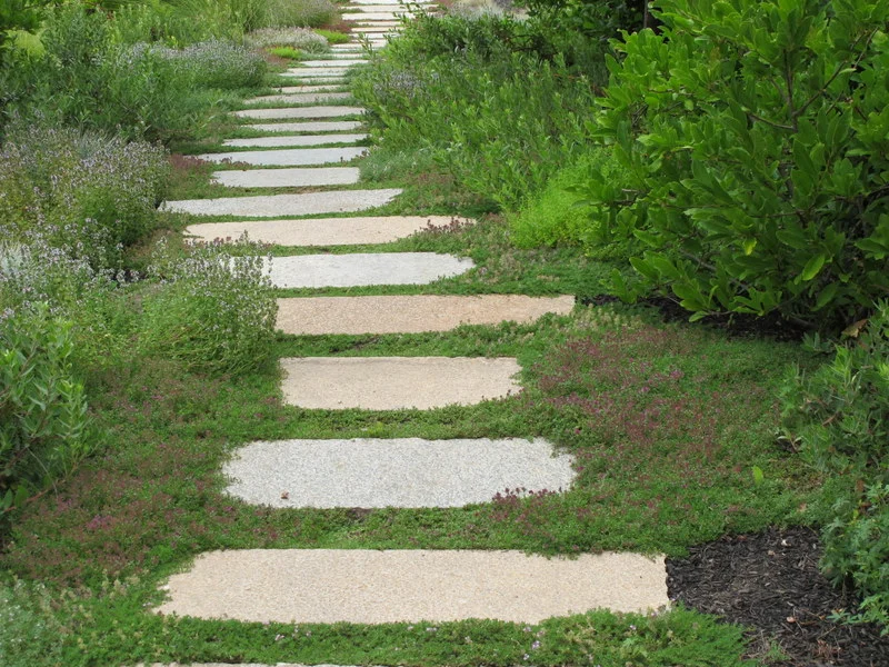 For Home and remove other path in Home section.JPG