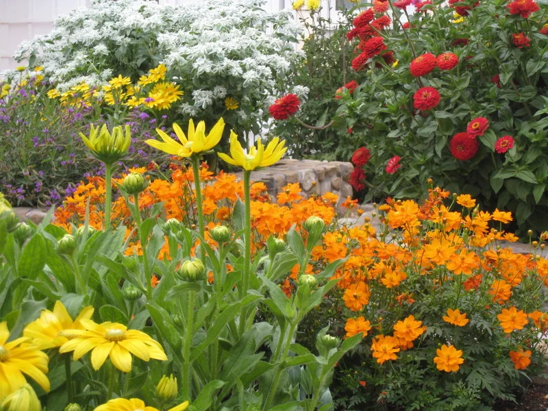 NEW St. Helena Farmhouse cutting garden.jpg