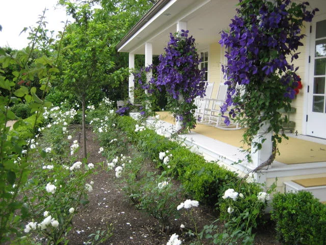 NEW St. Helena Farmhouse.jpg