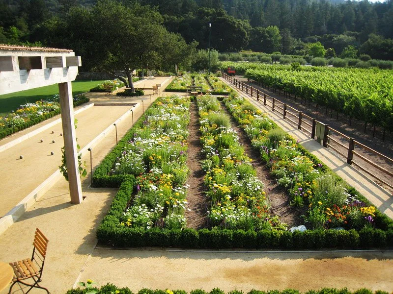 TNVR Bocce overview.JPG