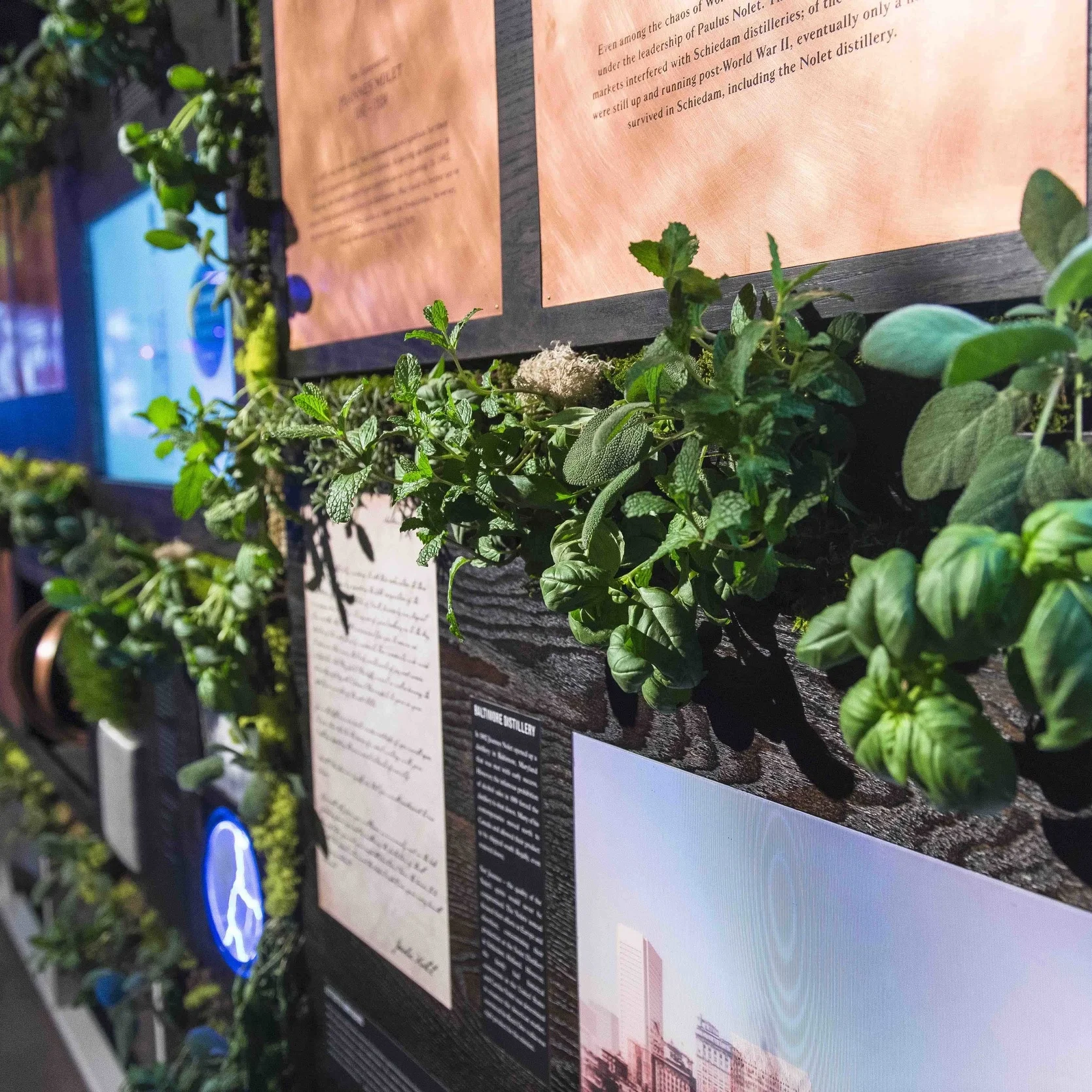 Ketel One wall 3.jpeg