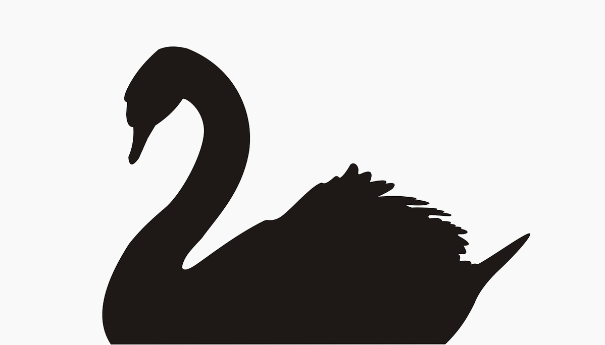 swan.gif