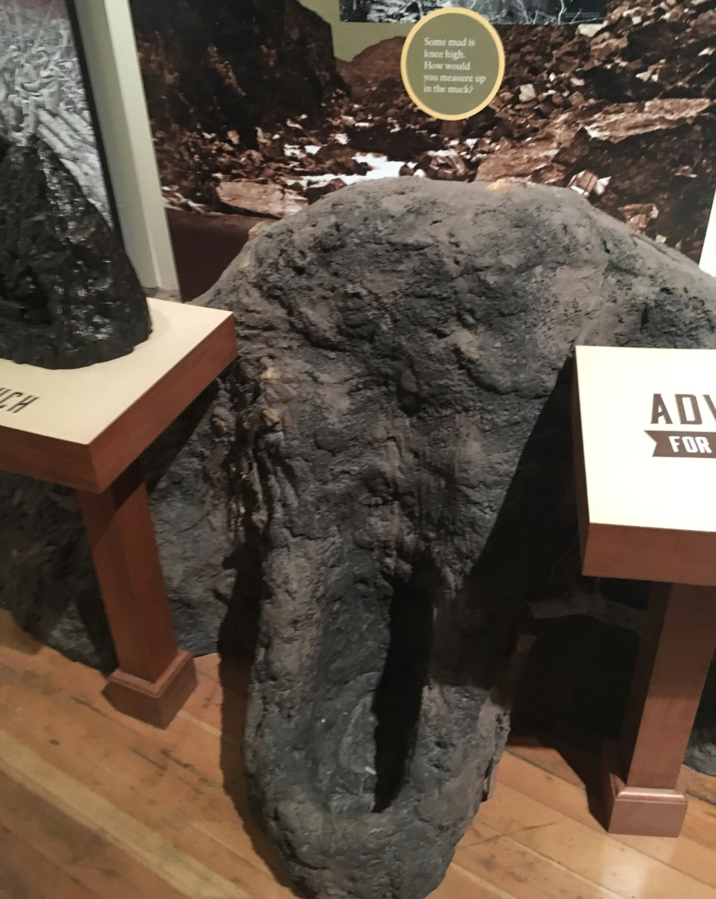 To understand the depth of the mud along the early parts of the trail, you can insert your foot in this to-scale replica. 