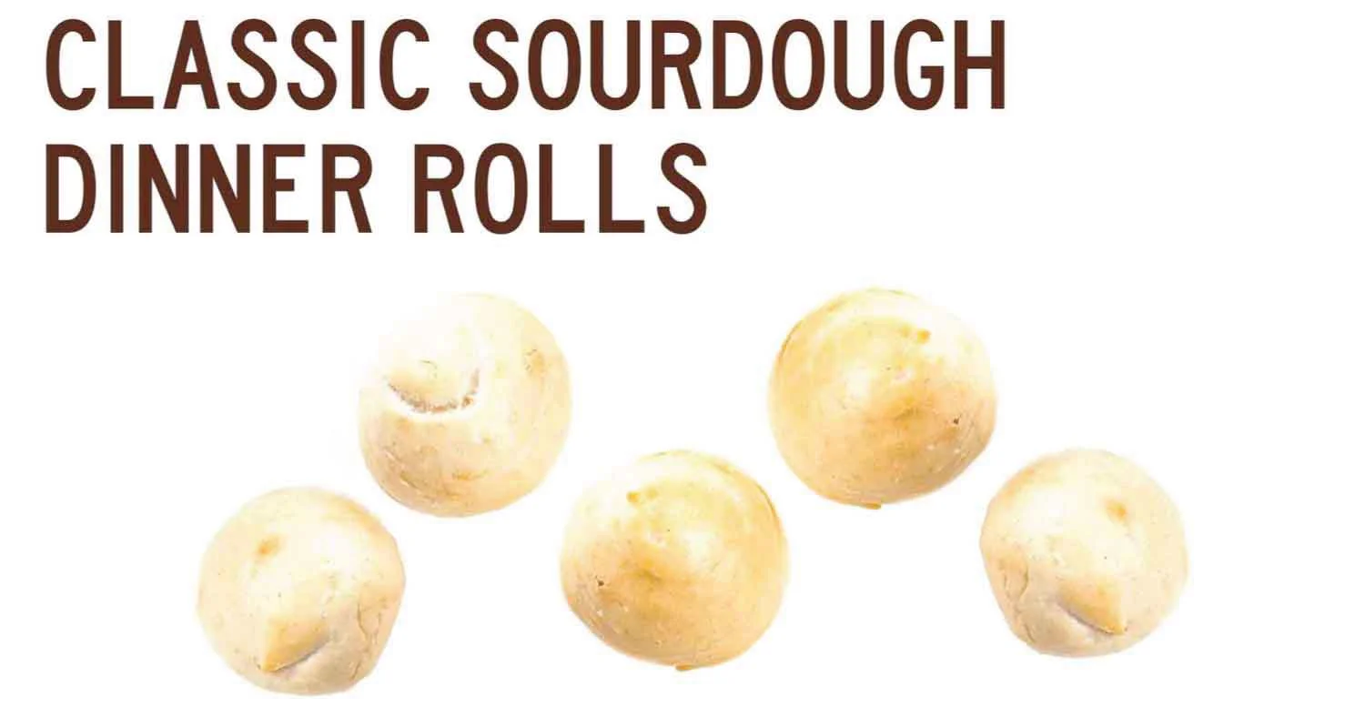 Bread_SRSLY_Gluten_Free_Classic_Sourdough_Dinner_Rolls_Product_Info_Web.jpg