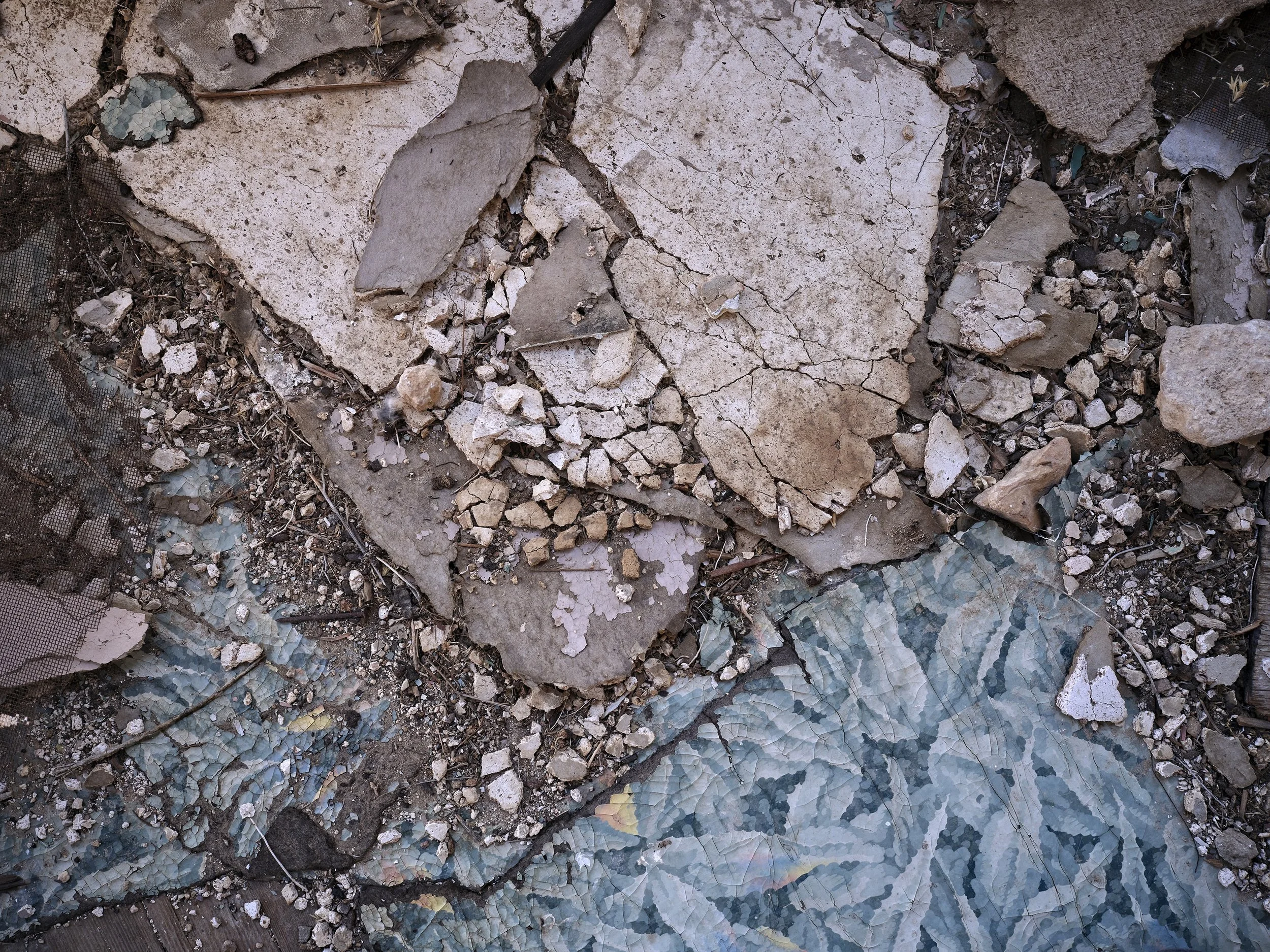 _DSF2531_HARRISBURG FLOOR.jpg
