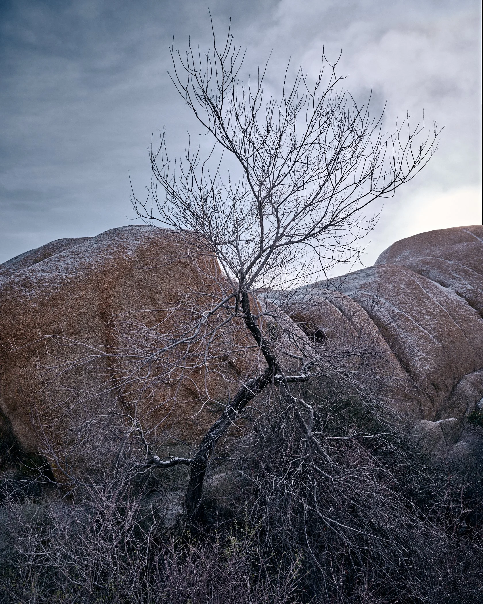 GFX11886_HDR.jpg